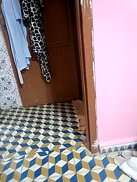 Mayamimi online show from November 8, 2025, 9:31 am