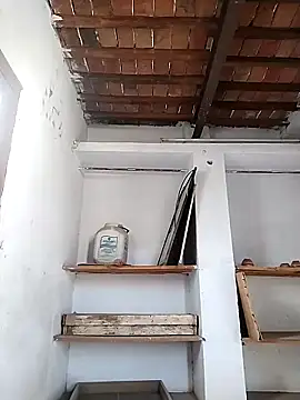 PunjabiSardarBull online show from April 21, 2026, 3:02 am