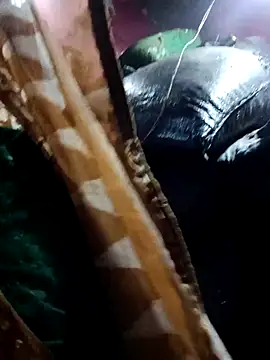 Billo rany online show from November 29, 2025, 11:19 pm