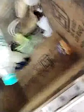 avi007p online show from March 11, 2026, 12:33 pm