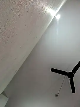 Appypie online show from November 11, 2025, 5:51 am