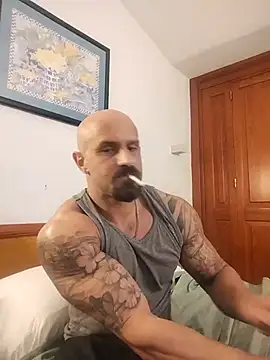 Visto36 online show from July 14, 2026, 9:53 pm