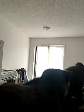 inked nekoo online show from December 3, 2025, 3:32 pm