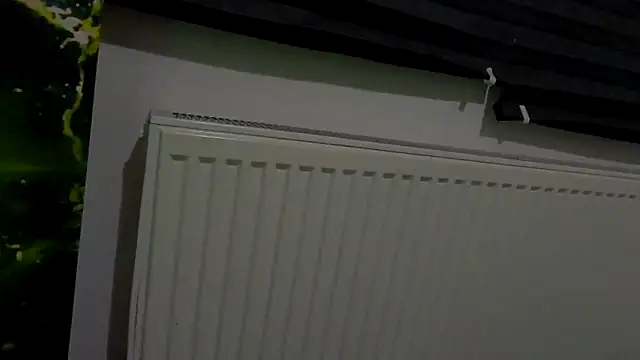 Snapshot of welcome-to-the-jungle chatting on February 24, 2026, 9:24 pm welcome-to-the-jungle online show from February 24, 2026, 9:24 pm