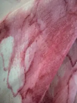 Snapshot of Monika_thakurr chatting on April 5, 2026, 1:58 am Monika thakurr online show from April 5, 2026, 1:58 am