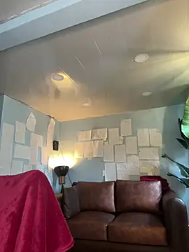 Canneela online show from February 14, 2026, 12:46 pm