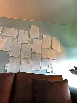 Canneela online show from March 16, 2026, 7:29 pm