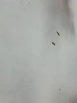 Snapshot of Baby-mmm chatting on January 10, 2026, 5:20 am Baby-mmm online show from January 10, 2026, 5:20 am