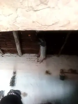 Sheema tyagi online show from October 21, 2025, 7:31 am