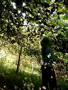 ngan-cute online show from October 18, 2025, 1:30 am