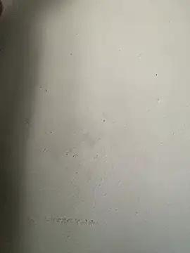 Dickssnake online show from February 12, 2026, 9:26 am