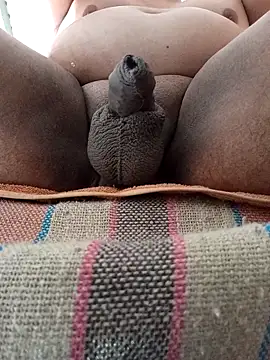 Snapshot of HotsitoTQM chatting on December 17, 2025, 3:51 pm HotsitoTQM online show from December 17, 2025, 3:51 pm