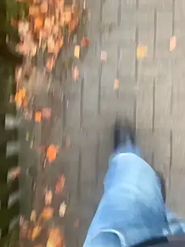 GeilerHSVFAN1989 online show from November 14, 2025, 2:16 pm