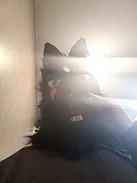 Wolf Okami SP online show from January 14, 2026, 2:01 pm