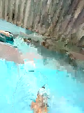 Hot-honi online show from December 22, 2025, 9:06 am