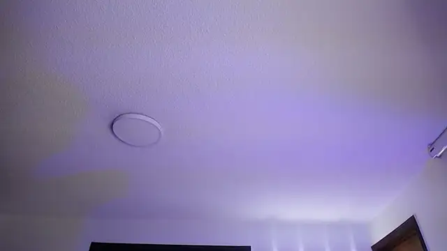 Snapshot of _Charlotte_Collins_ chatting on November 3, 2025, 2:29 pm Charlotte Collins online show from November 3, 2025, 2:29 pm