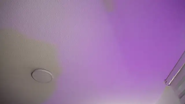 Snapshot of _Charlotte_Collins_ chatting on November 22, 2025, 2:16 pm Charlotte Collins online show from November 22, 2025, 2:16 pm