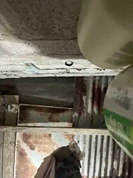 SaraBust online show from April 7, 2026, 4:24 am