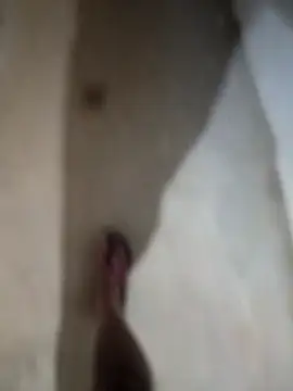 sexy  girls98 online show from November 27, 2025, 12:13 am