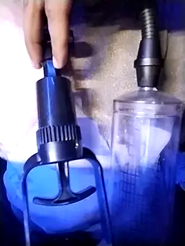 HIIMSINGLEBOY online show from October 9, 2025, 6:00 am