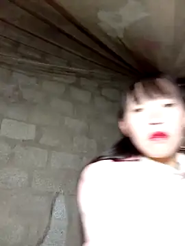 tcm-cute online show from November 23, 2025, 1:33 pm