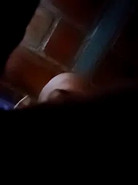 Perropa online show from February 7, 2026, 11:36 am