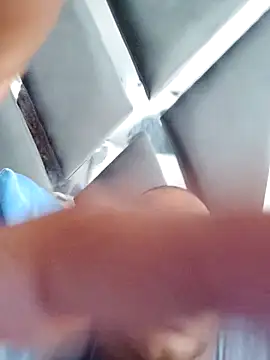 Perropa online show from April 2, 2026, 3:20 pm