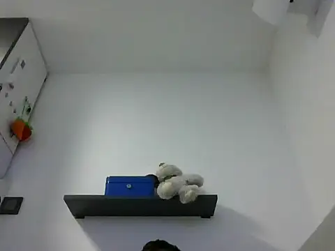 IMGTomi online show from June 17, 2026, 3:42 am