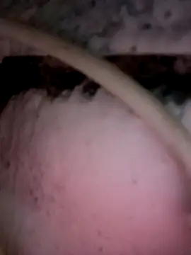 Payal950 online show from December 2, 2025, 11:56 pm