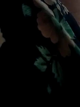 Payal950 online show from April 13, 2026, 11:48 am