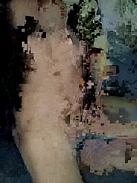 xxxxxcgbn online show from February 5, 2026, 4:17 am