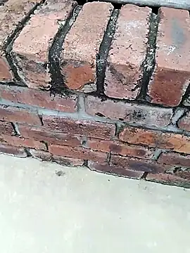 Snapshot of BigboyDick2 chatting on November 14, 2025, 9:08 am BigboyDick2 online show from November 14, 2025, 9:08 am