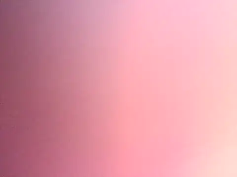 Snapshot of Dropdingo chatting on November 13, 2025, 11:14 pm Dropdingo online show from November 13, 2025, 11:14 pm