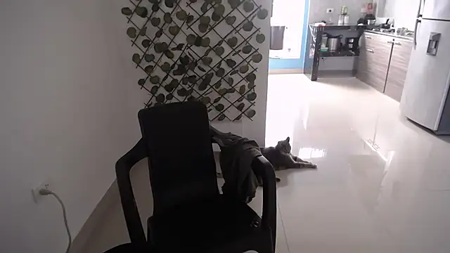 yohacriss online show from December 16, 2025, 8:36 pm