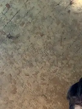 Snapshot of uniquesexyboy5689 chatting on November 27, 2025, 10:50 am uniquesexyboy5689 online show from November 27, 2025, 10:50 am