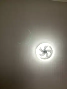 lionr0660 online show from February 25, 2026, 8:40 pm