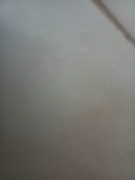 Snapshot of Jobson40 chatting on November 1, 2025, 12:01 am Jobson40 online show from November 1, 2025, 12:01 am