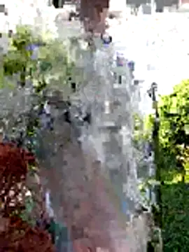 Snapshot of AlphaAlterX chatting on December 20, 2025, 12:34 pm AlphaAlterX online show from December 20, 2025, 12:34 pm