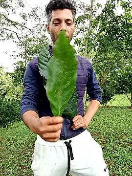 Snapshot of AlphaAlterX chatting on January 12, 2026, 3:17 pm AlphaAlterX online show from January 12, 2026, 3:17 pm