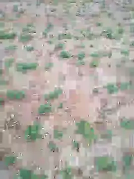 Snapshot of Susila_ji chatting on July 17, 2026, 1:07 pm Susila ji online show from July 17, 2026, 1:07 pm