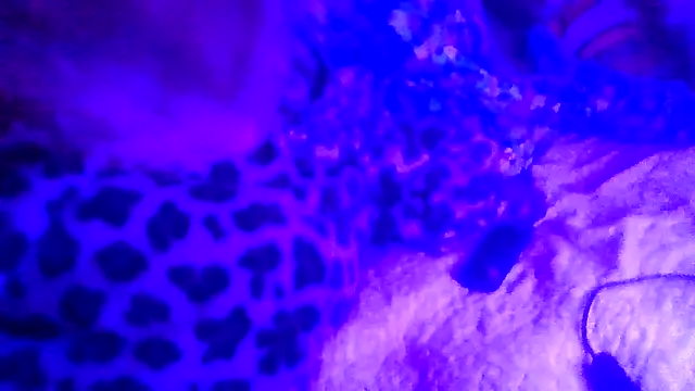 Snapshot of prettymaa chatting on February 19, 2026, 6:53 am prettymaa online show from February 19, 2026, 6:53 am