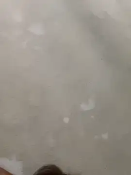 Doggy8668 online show from March 3, 2026, 7:42 pm