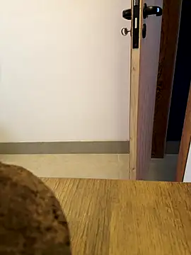 oconnnel online show from December 14, 2025, 5:40 pm