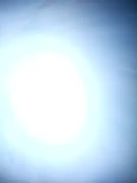 Snapshot of chinoaf chatting on December 18, 2025, 9:59 am chinoaf online show from December 18, 2025, 9:59 am