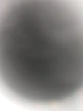 Snapshot of Necroforo chatting on February 14, 2026, 8:49 pm Necroforo online show from February 14, 2026, 8:49 pm