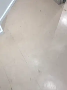 DarkSkiined online show from October 20, 2025, 1:55 pm