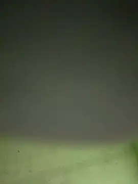 Snapshot of alonsohot1809 chatting on November 10, 2025, 7:51 am alonsohot1809 online show from November 10, 2025, 7:51 am