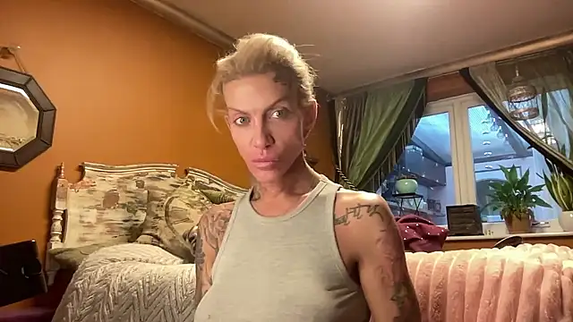 xl uk top trans online show from January 12, 2026, 8:52 am