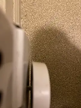 Snapshot of Pedro98801 chatting on December 18, 2025, 3:56 am Pedro98801 online show from December 18, 2025, 3:56 am