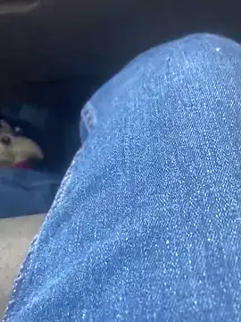 Snapshot of Pedro98801 chatting on February 2, 2026, 11:47 pm Pedro98801 online show from February 2, 2026, 11:47 pm